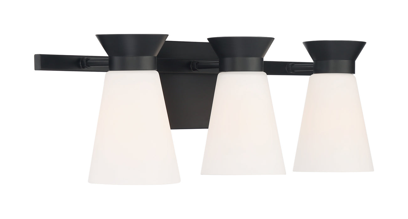 Nuvo Lighting 60-7313 Three Light Vanity, Black