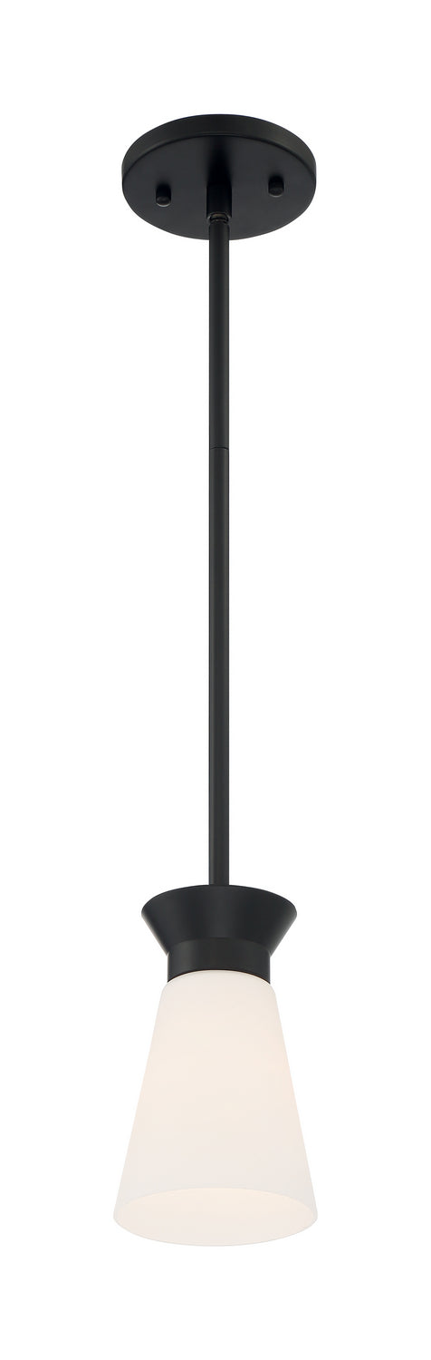 Nuvo Lighting 60-7314 One Light Mini Pendant, Black