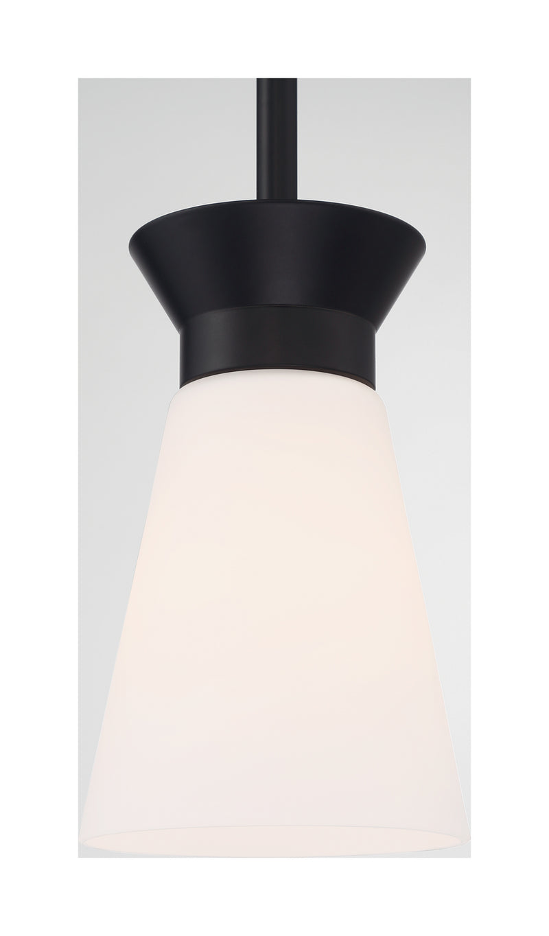 Nuvo Lighting 60-7314 One Light Mini Pendant, Black