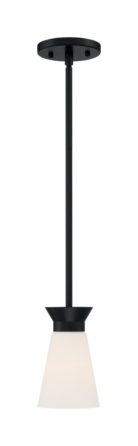 Nuvo Lighting 60-7314 One Light Mini Pendant, Black