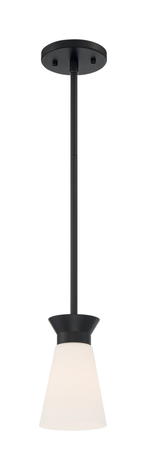 Nuvo Lighting 60-7314 One Light Mini Pendant, Black