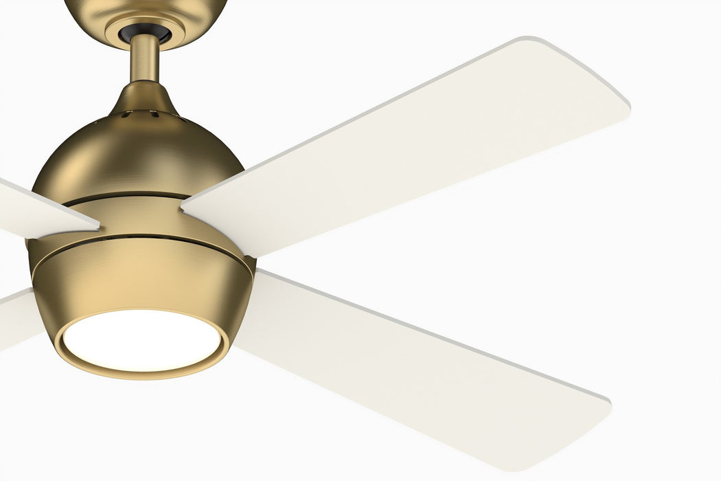 Fanimation FP7644BS 44" Ceiling Fan, Brushed Satin Brass