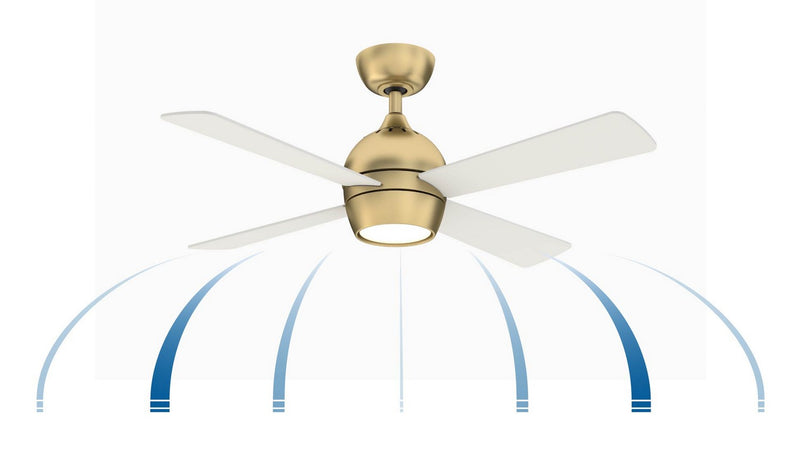 Fanimation FP7644BS 44" Ceiling Fan, Brushed Satin Brass