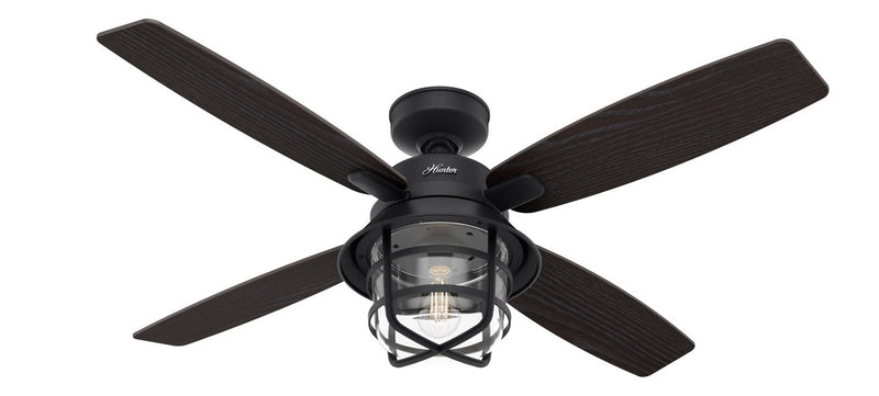 Hunter 50391 52" Ceiling Fan, Natural Black Iron