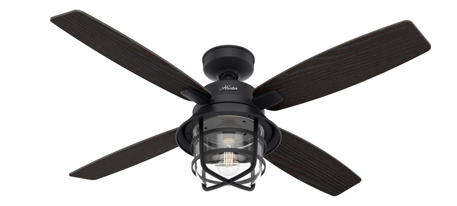 Hunter 50391 52" Ceiling Fan, Natural Black Iron