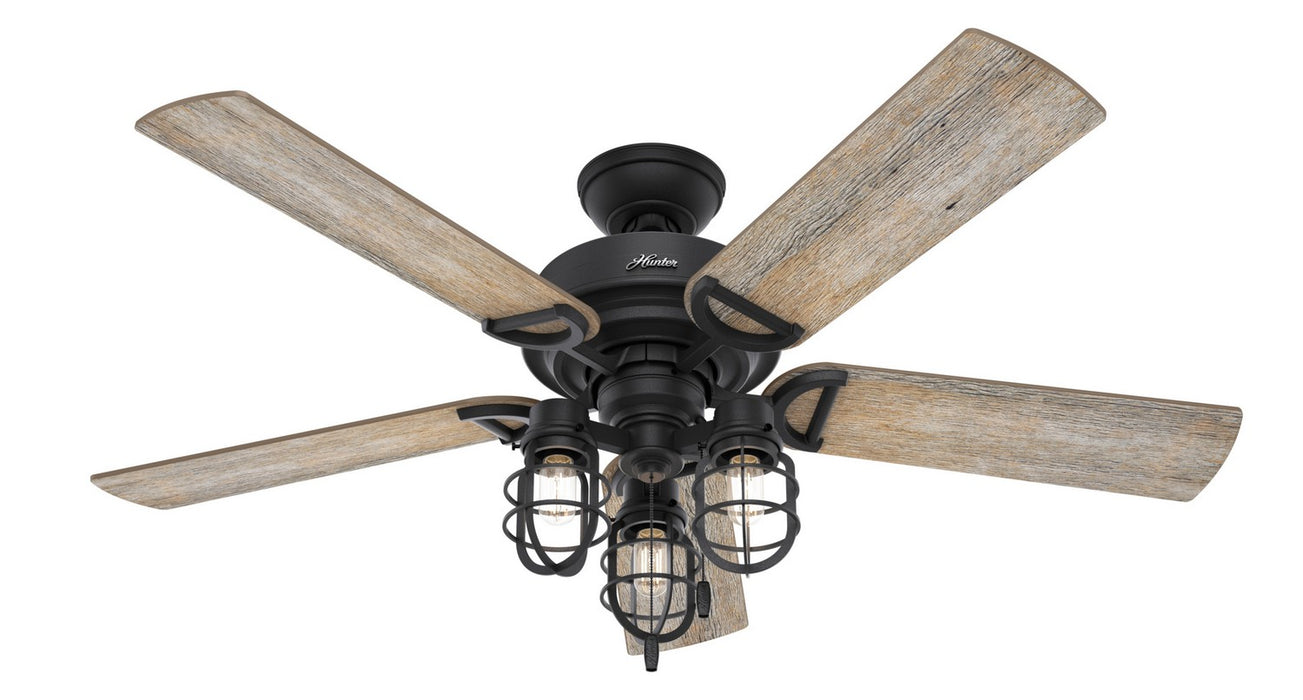 Hunter 50409 52" Ceiling Fan, Natural Black Iron