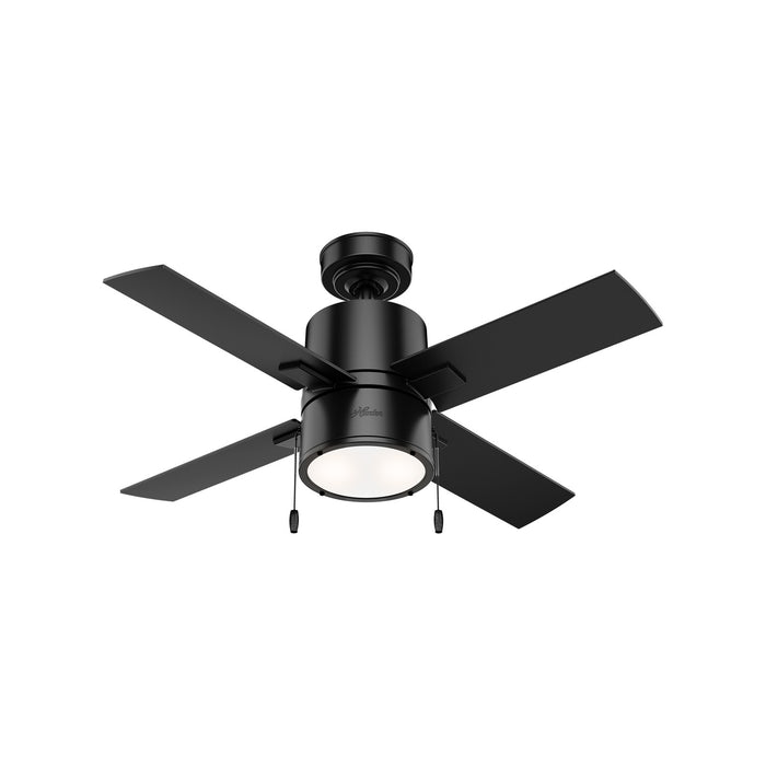 Hunter 53433 42" Ceiling Fan, Matte Black