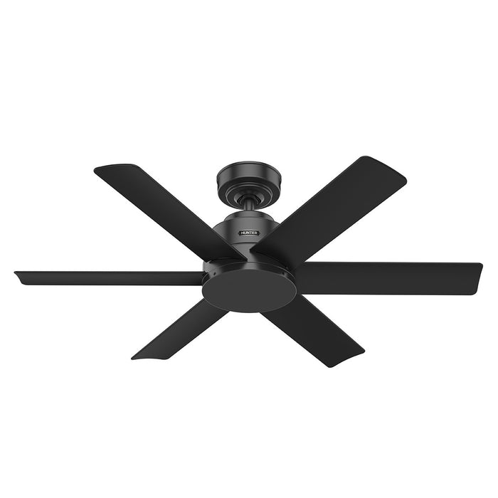 Hunter 59613 44" Ceiling Fan, Matte Black