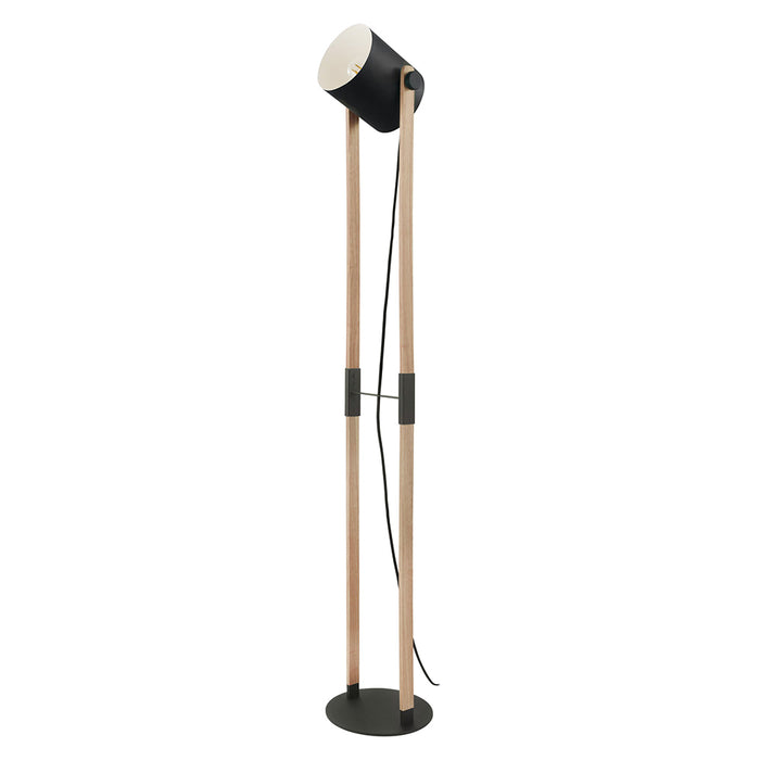 Eglo USA 43048A One Light Floor Lamp, Black & Natural Wood