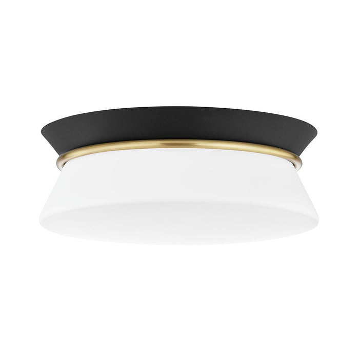 Mitzi H425502-AGB/BK Two Light Flush Mount, Aged Brass/Black