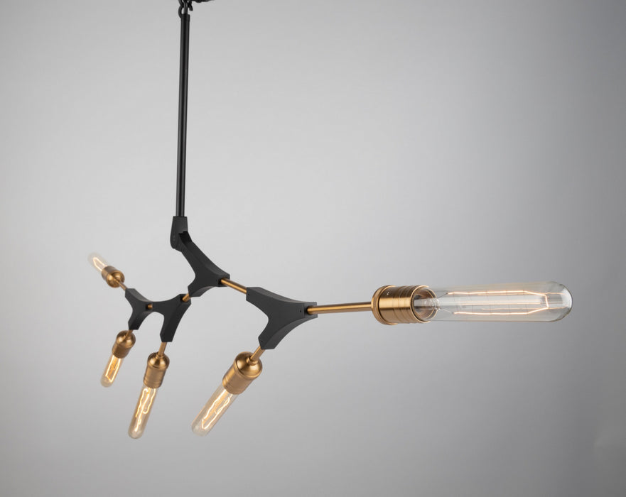 Artcraft AC11535 Five Light Chandelier, Black & Harvest Brass