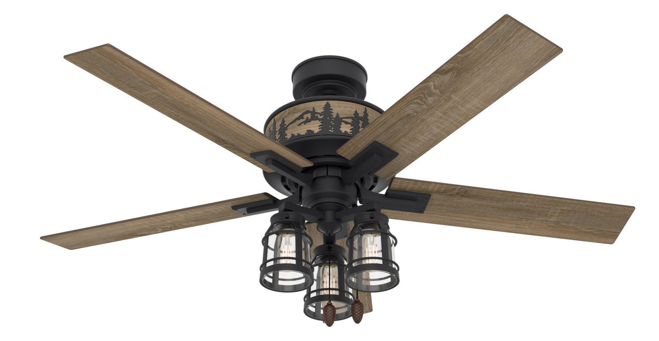 Hunter 50169 52" Ceiling Fan, Natural Black Iron