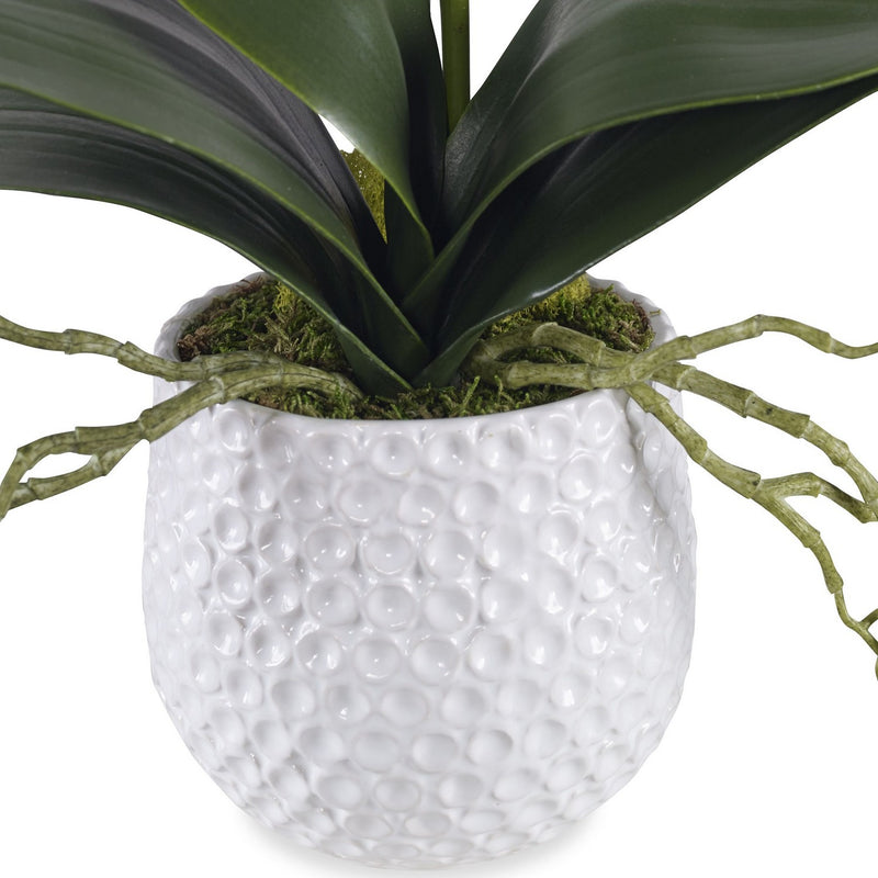 Uttermost 60178 Orchid, Textured White