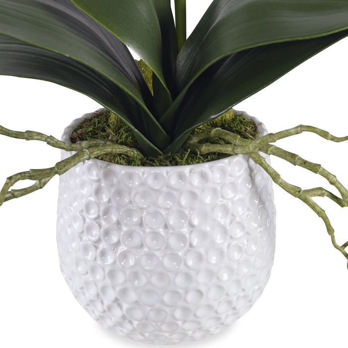 Uttermost 60178 Orchid, Textured White