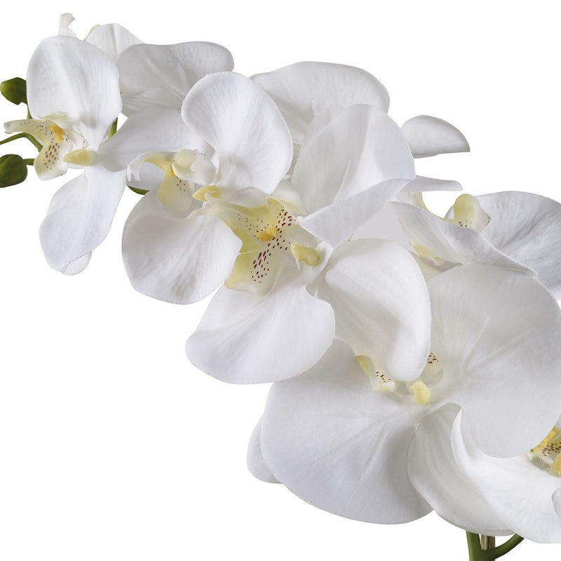 Uttermost 60178 Orchid, Textured White