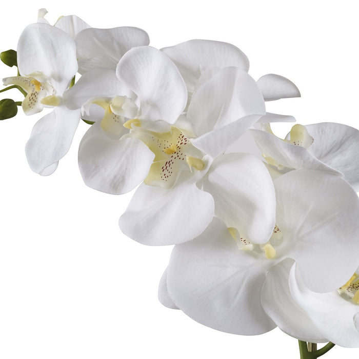 Uttermost 60178 Orchid, Textured White