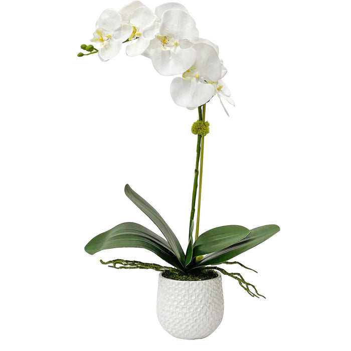 Uttermost 60178 Orchid, Textured White