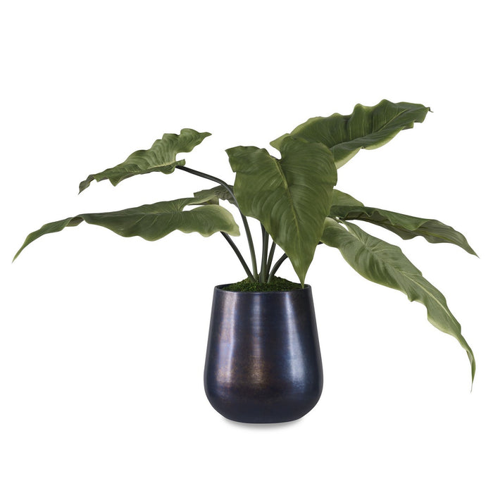 Uttermost 60179 Accent Plant, Oxidized Metal