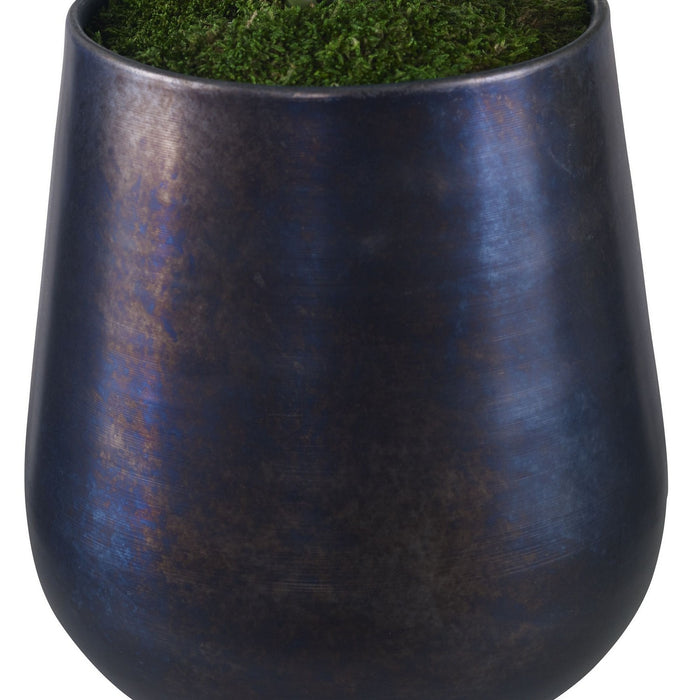 Uttermost 60179 Accent Plant, Oxidized Metal