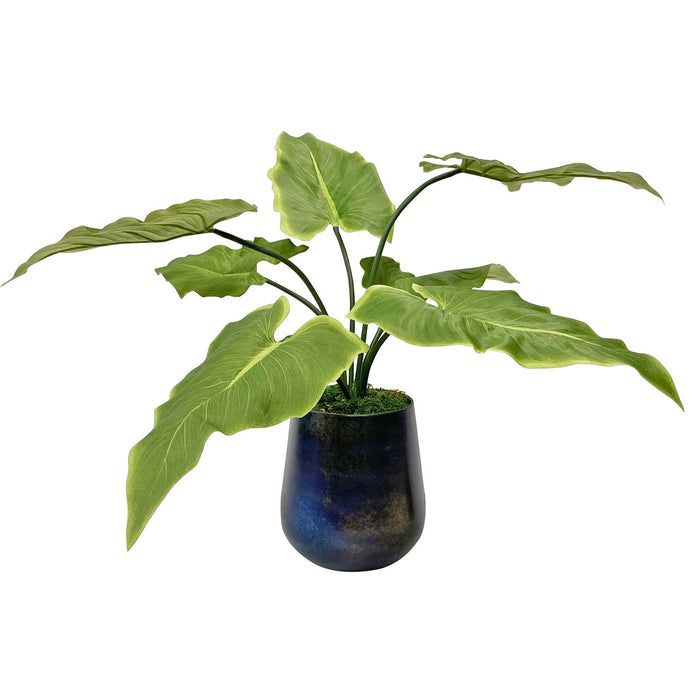 Uttermost 60179 Accent Plant, Oxidized Metal
