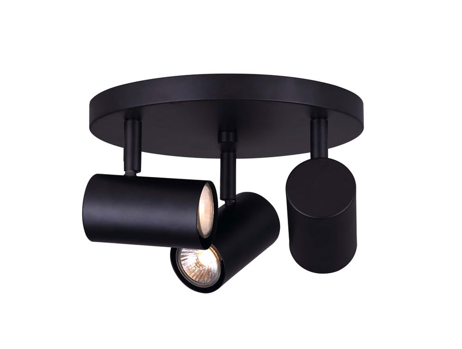 Canarm ICW1022A03BK10 Three Light Ceiling/Wall Mount, Black
