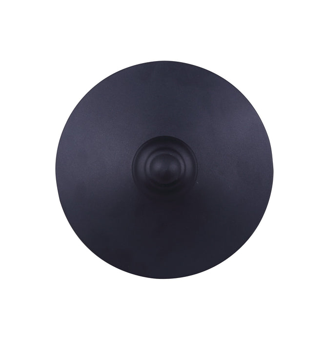 Canarm IOL303BK One Light Outdoor Lantern, Black