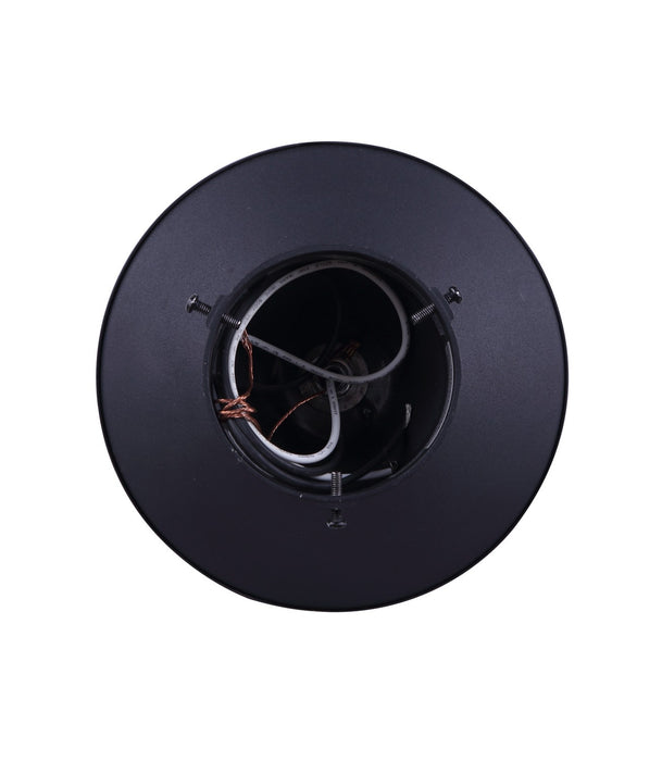 Canarm IOL303BK One Light Outdoor Lantern, Black