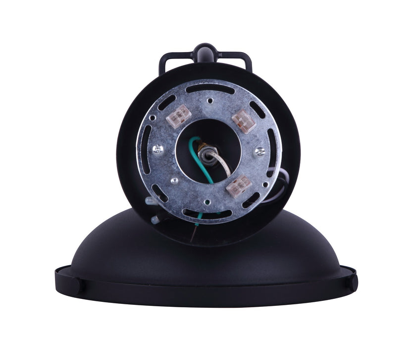 Canarm IOL322BK One Light Outdoor Downlight, Black