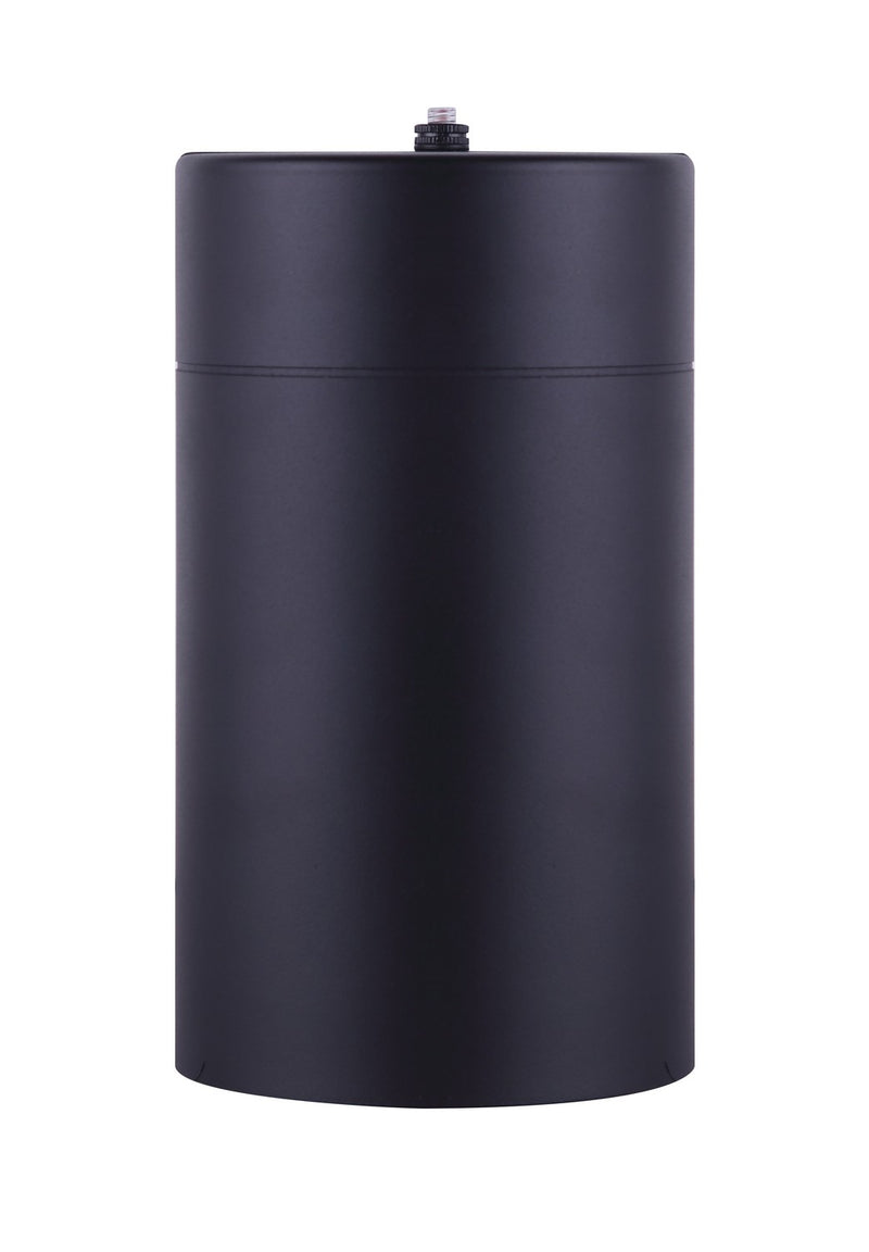 Canarm IOL339BK One Light Outdoor Lantern, Metal