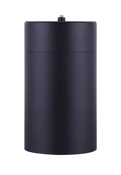Canarm IOL339BK One Light Outdoor Lantern, Metal
