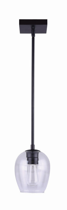 Canarm IPL1019A01BK One Light Pendant, Black