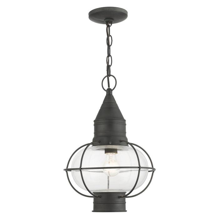 Livex Lighting 26906-61 One Light Outdoor Pendant, Charcoal