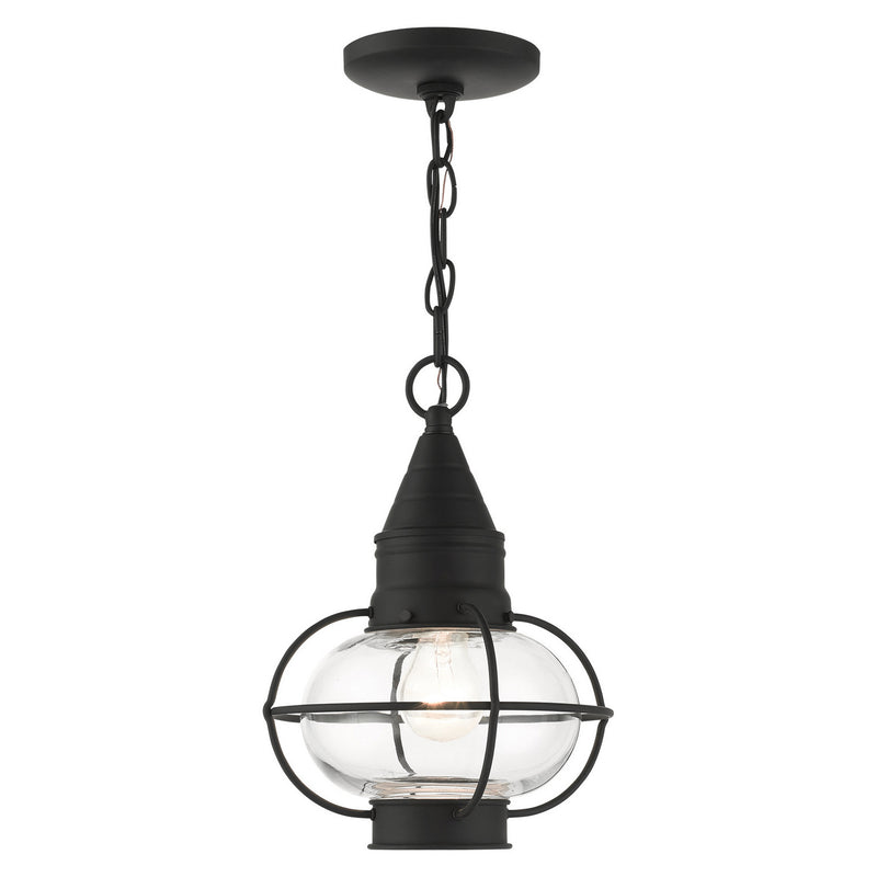 Livex Lighting 26910-04 One Light Outdoor Pendant, Black