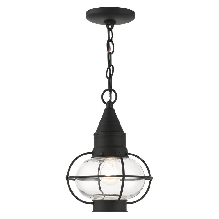 Livex Lighting 26910-04 One Light Outdoor Pendant, Black
