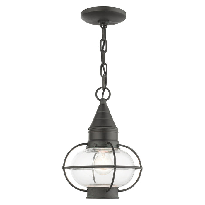 Livex Lighting 26910-61 One Light Outdoor Pendant, Charcoal