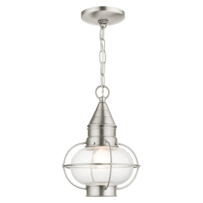 Livex Lighting 26910-91 One Light Outdoor Pendant, Brushed Nickel