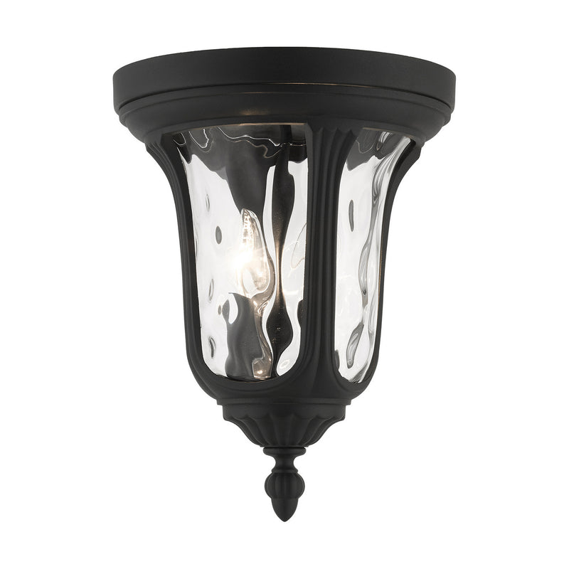 Livex Lighting 7861-14 Two Light Outdoor Ceiling Mount, Textured Black