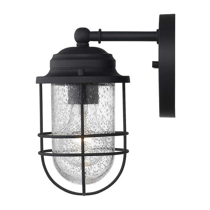 Golden 9808-OWS NB-SD One Light Outdoor Wall Sconce, Natural Black