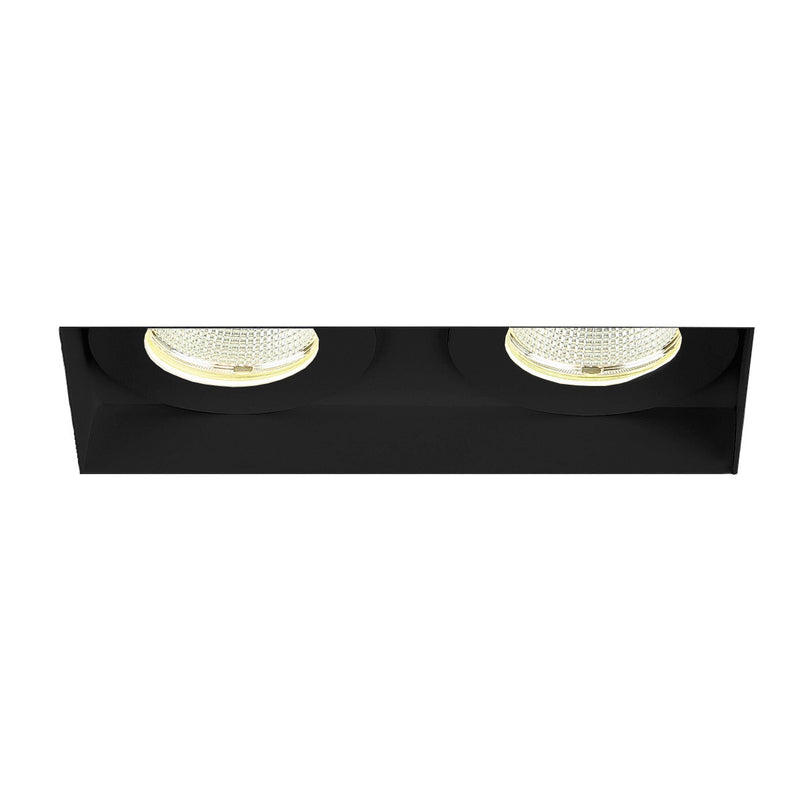 Eurofase 36024-30-01 Two Light Downlight, Black