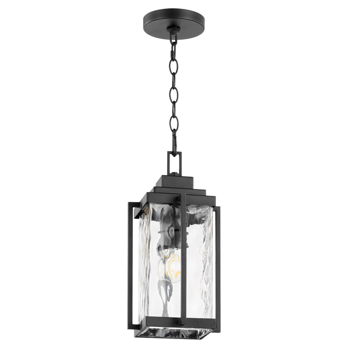 Quorum 7022-69 One Light Pendant, Textured Black