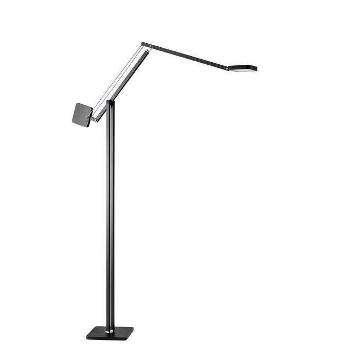 Adesso Home AD9131-01 LED Floor Lamp, Matte Black