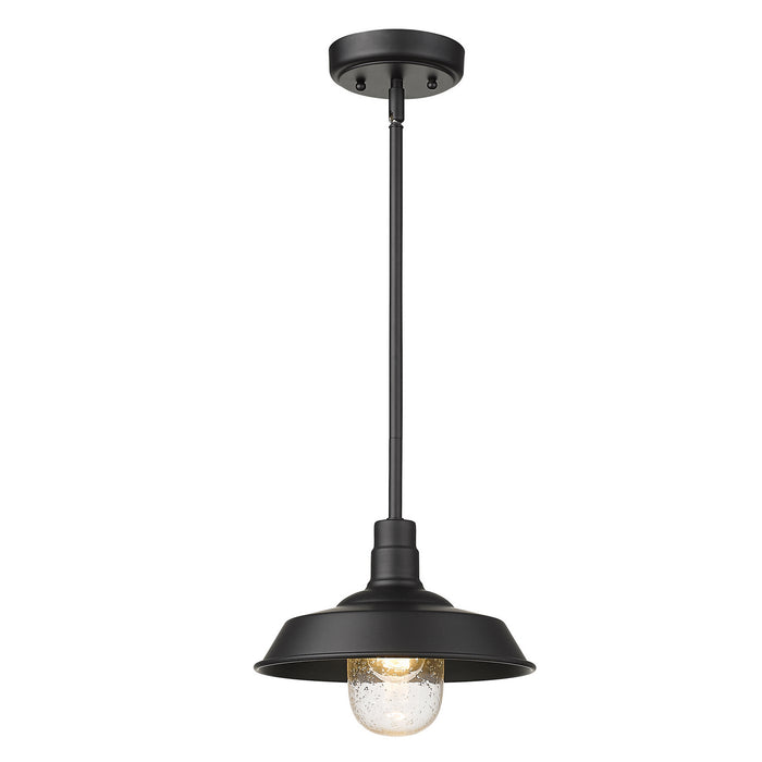 Acclaim Lighting 1736BK One Light Pendant, Matte Black