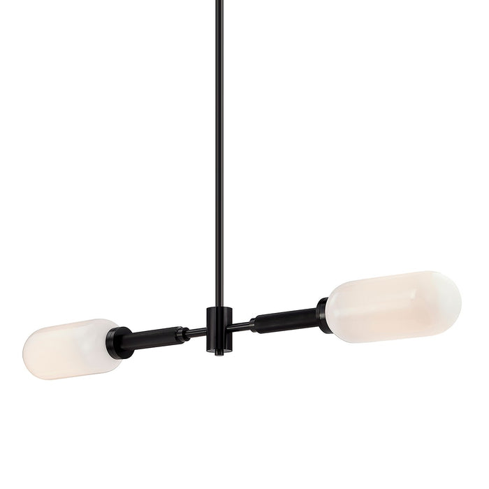Troy Lighting F7356-AN Two Light Linear Pendant, Anodized Black