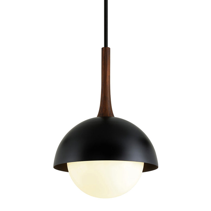 Troy Lighting F7646-SBK One Light Pendant, Soft Black