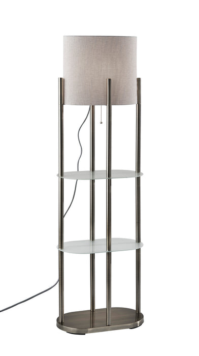 Adesso Home 1518-22 Floor Lamp, Brushed Steel