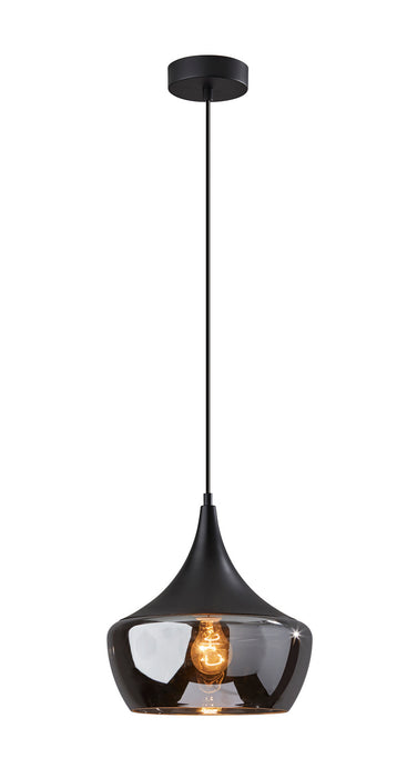 Adesso Home 2141-01 Pendant, Black