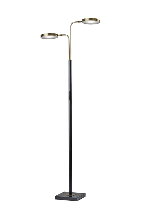 Adesso Home 4127-01 LED Floor Lamp, Black & Antique Brass
