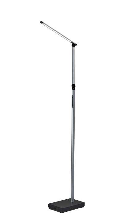 Adesso Home SL4907-01 LED Floor Lamp, Black & Silver