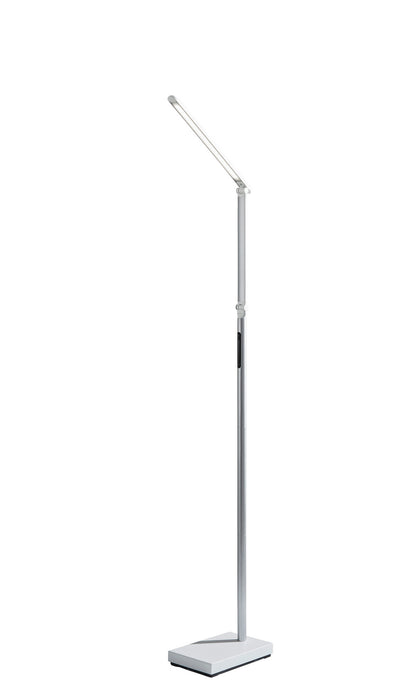 Adesso Home SL4907-02 LED Floor Lamp, Black & Silver