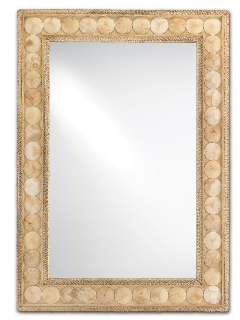 Currey and Company 1000-0099 Mirror, Straw/Natural Abaca Rope/Coco Shell/Mirror